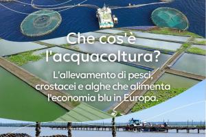 Feampa 2021-2027 Priorità, risorse finanziarie disponibili e gestione