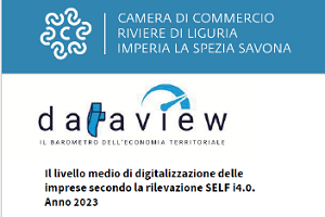 Dataview: il barometro dell’economia locale - informazioni economico-statistiche relative alla digitalizzazione in provincia di Imperia La Spezia Savona - anno 2023