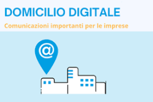 Procedimento di cancellazione domicili digitali di impresa non validi