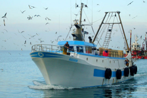 Nasce il nuovo Gal Fish Liguria: importante accordo per lo sviluppo e il rilancio dell’economia del mare