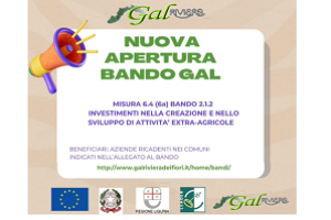 Bando GAL RIVIERA DEI FIORI - “Investimenti nella creazione e nello sviluppo di attività extra-agricole”