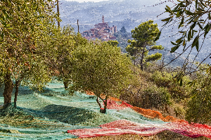 Il GAL Riviera dei Fiori incontra il territorio: iniziano le consultazioni con i partner pubblici e privati per raccogliere le prime esigenze del territorio