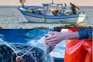 Regione Liguria - Sostegno alla pesca e all'acquacoltura: 120 mila euro per coprire gli extracosti affrontati dalle imprese a causa delle tensioni in Medio Oriente immagine pescatori