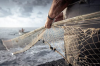 GAL FISH Liguria-Indagine di mercato Progetti pilota sfruttamento energia rinnovabile per elettrificazione banchine pesca ed acquacoltura e Riduzione e recupero rifiuti marini
