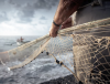 Avviso GAL FISH LIGURIA per affidamento incarico organizzazione ed erogazione iniziative formative pesca e acquacoltura