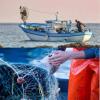 Regione Liguria - Sostegno alla pesca e all'acquacoltura: 120 mila euro per coprire gli extracosti affrontati dalle imprese a causa delle tensioni in Medio Oriente immagine pescatori
